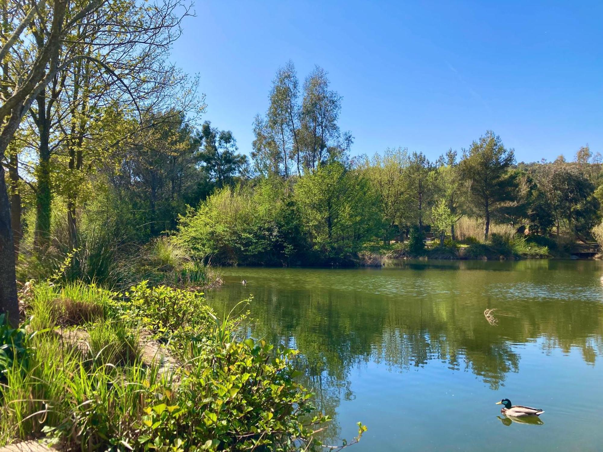Les Restanques 3120 Vue Mer 3 Chambres Grimaud Dış mekan fotoğraf